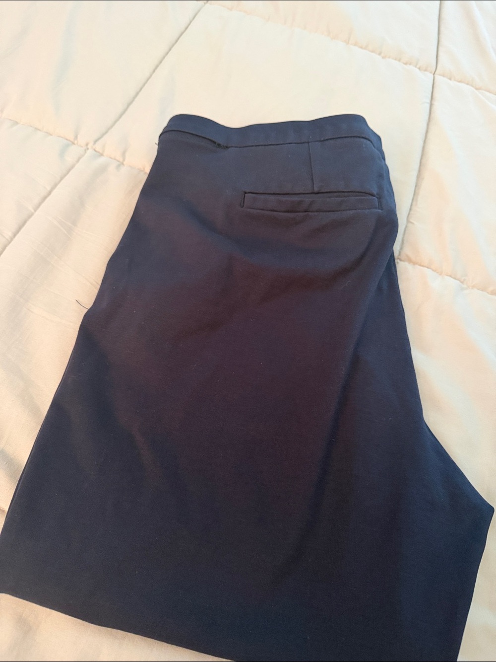 VPL Navy Waistband Pants